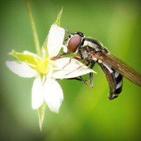 /album/nimacuto/photolia-a02-jpg/