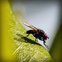 /album/nimacuto/photolia-a04-jpg/