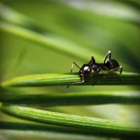 /album/nimacuto/photolia-a05-jpg/