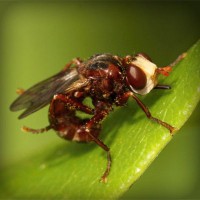 /album/nimacuto/photolia-a06-jpg/