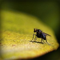 /album/nimacuto/photolia-a07-jpg/