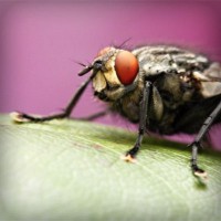 /album/nimacuto/photolia-a08-jpg/